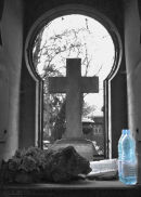 There is life in Plastic